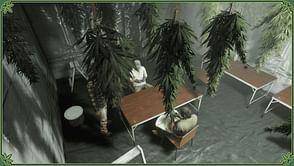 How to buy and make money with a Weed Farm in GTA Online?