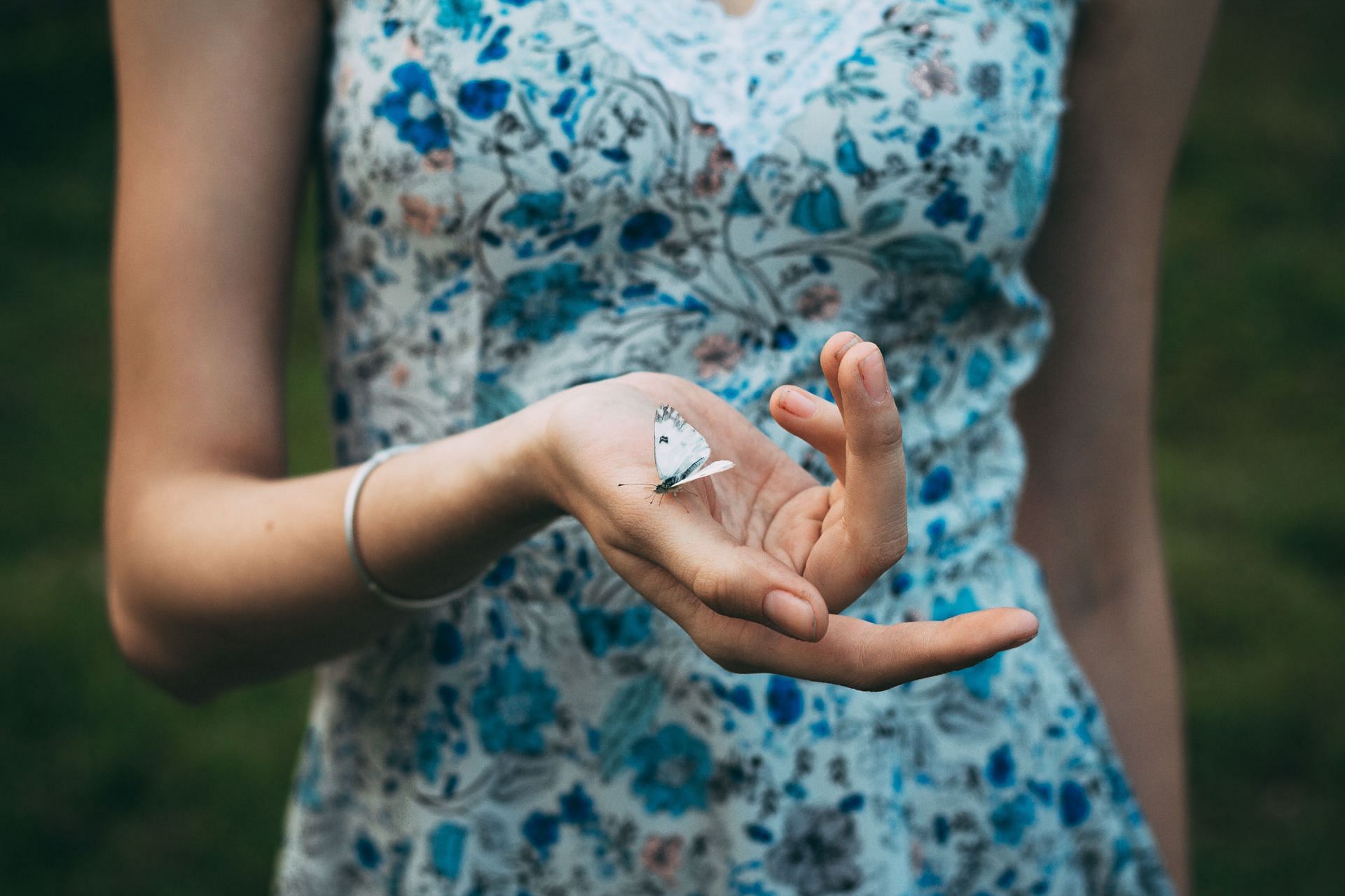 Butterflies in stomach are an indication of anxiety or nervousnesss. (Image via Pexels/Daria)