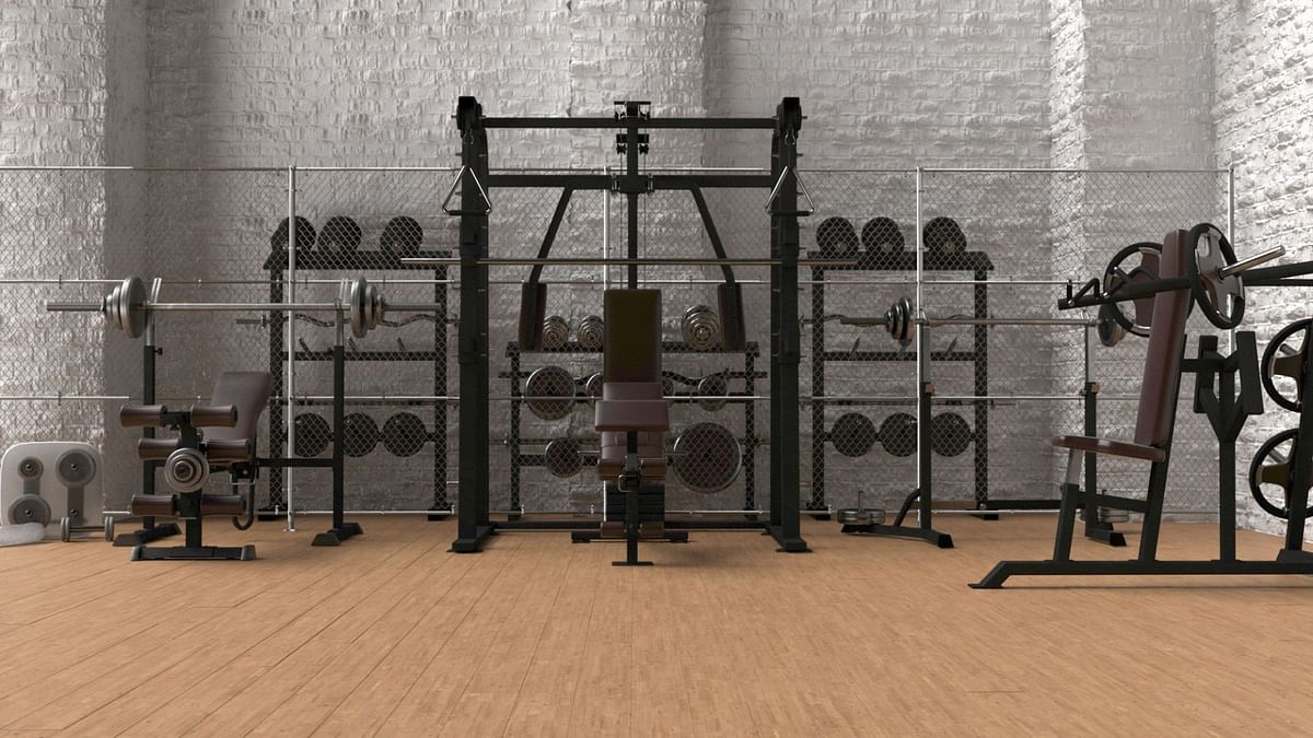 Sizing Up the Smith Machine Bar Weight Is it Heavier Than You Think?