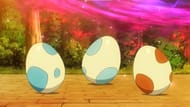 Eggs as seen in the Pokemon anime (Image via The Pokemon Company)