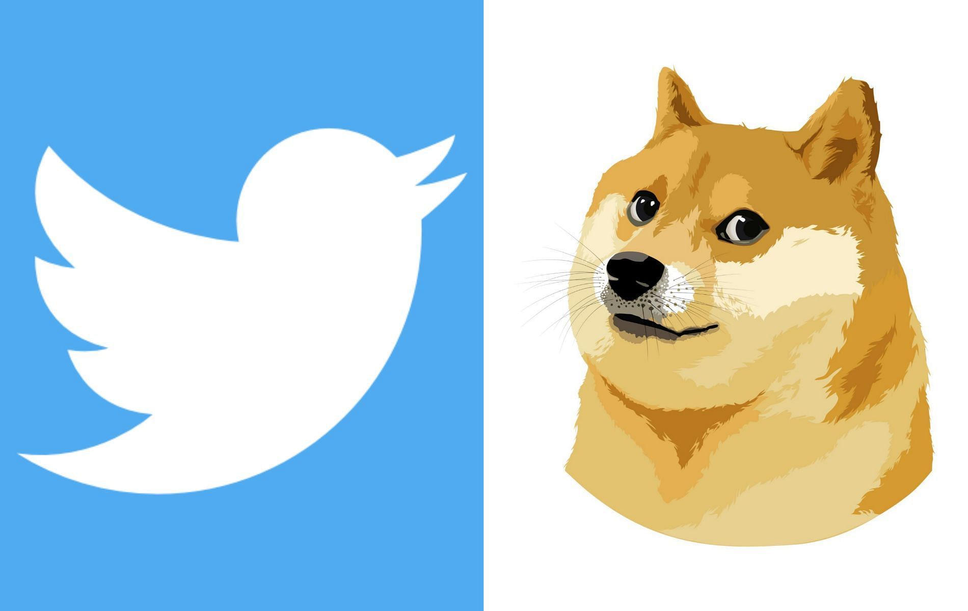 The Twitter Bluebird gets replaced by Dogecoin (Images via Twitter)