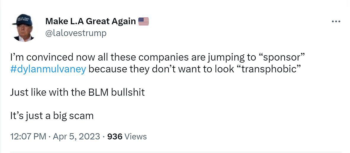 A comment speaking against the companies (Image via Twitter/ @lalovestrump)