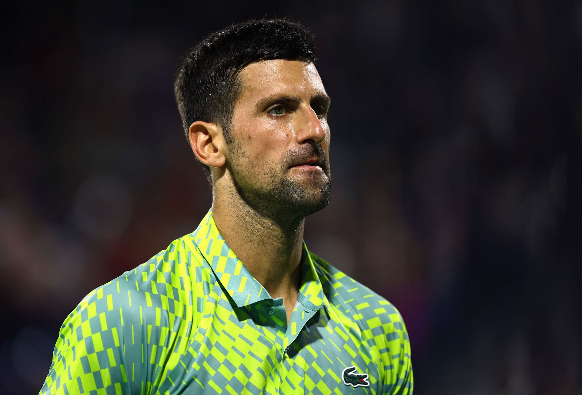 Novak Djokovic pictured at the 2023 Dubai Duty-Free Tennis - Day Twelve.