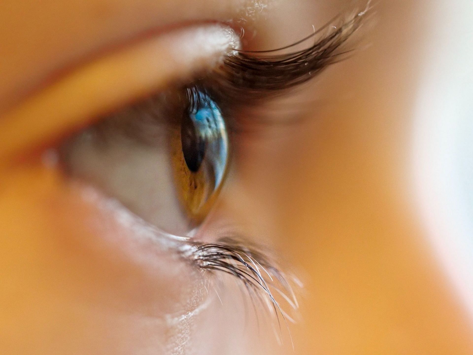 By properly wearing and caring for your contact lenses, you can enjoy the benefits of clear vision without the need for glasses (Image via Unsplash)