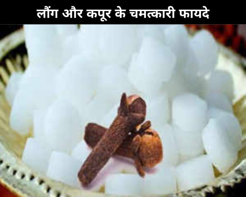 6 Miraculous Benefits Of Clove And Camphor In Hindi लौंग और कपूर के 6