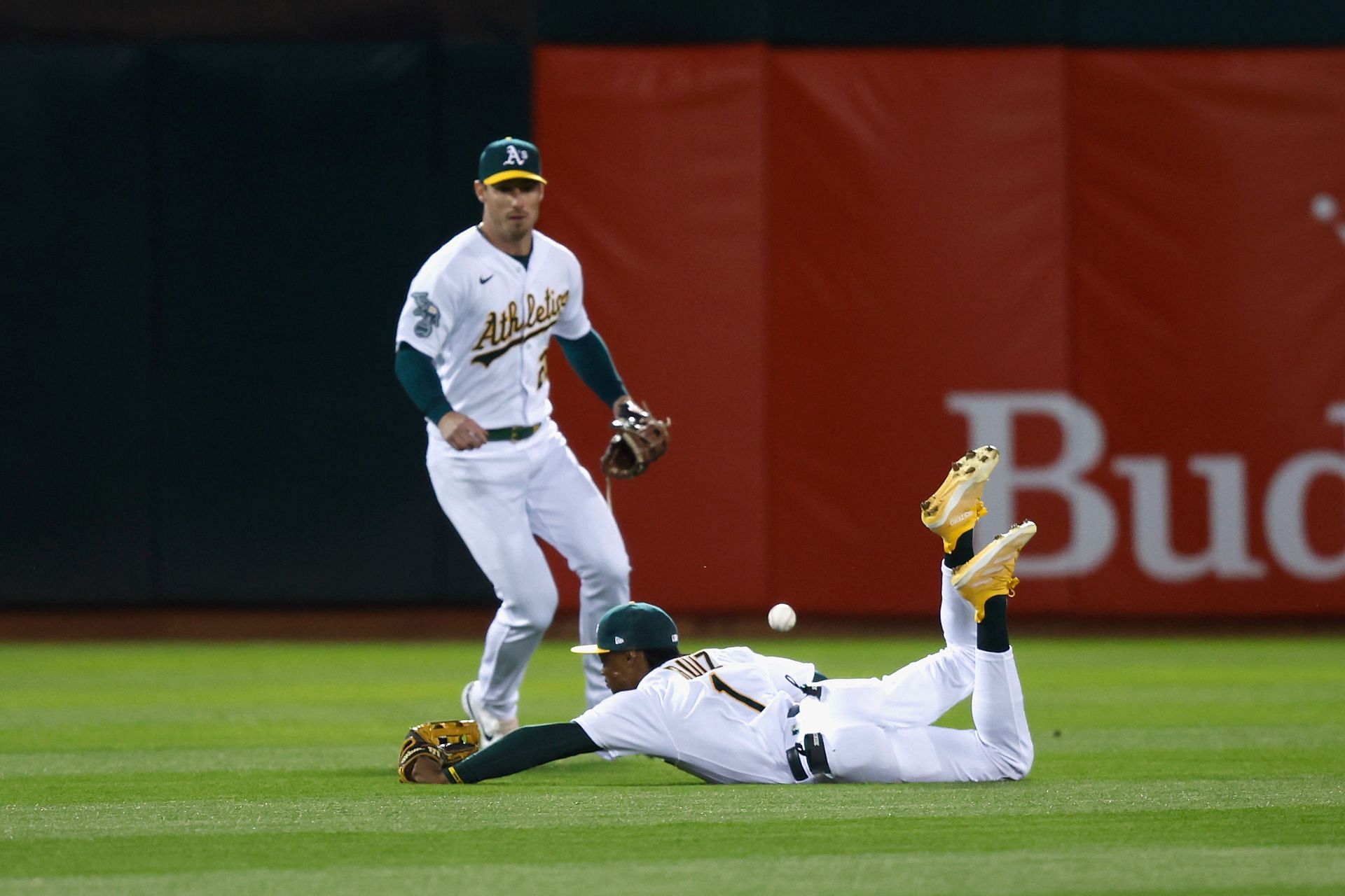 Humans Out, Cats In at Oakland A's Ballpark