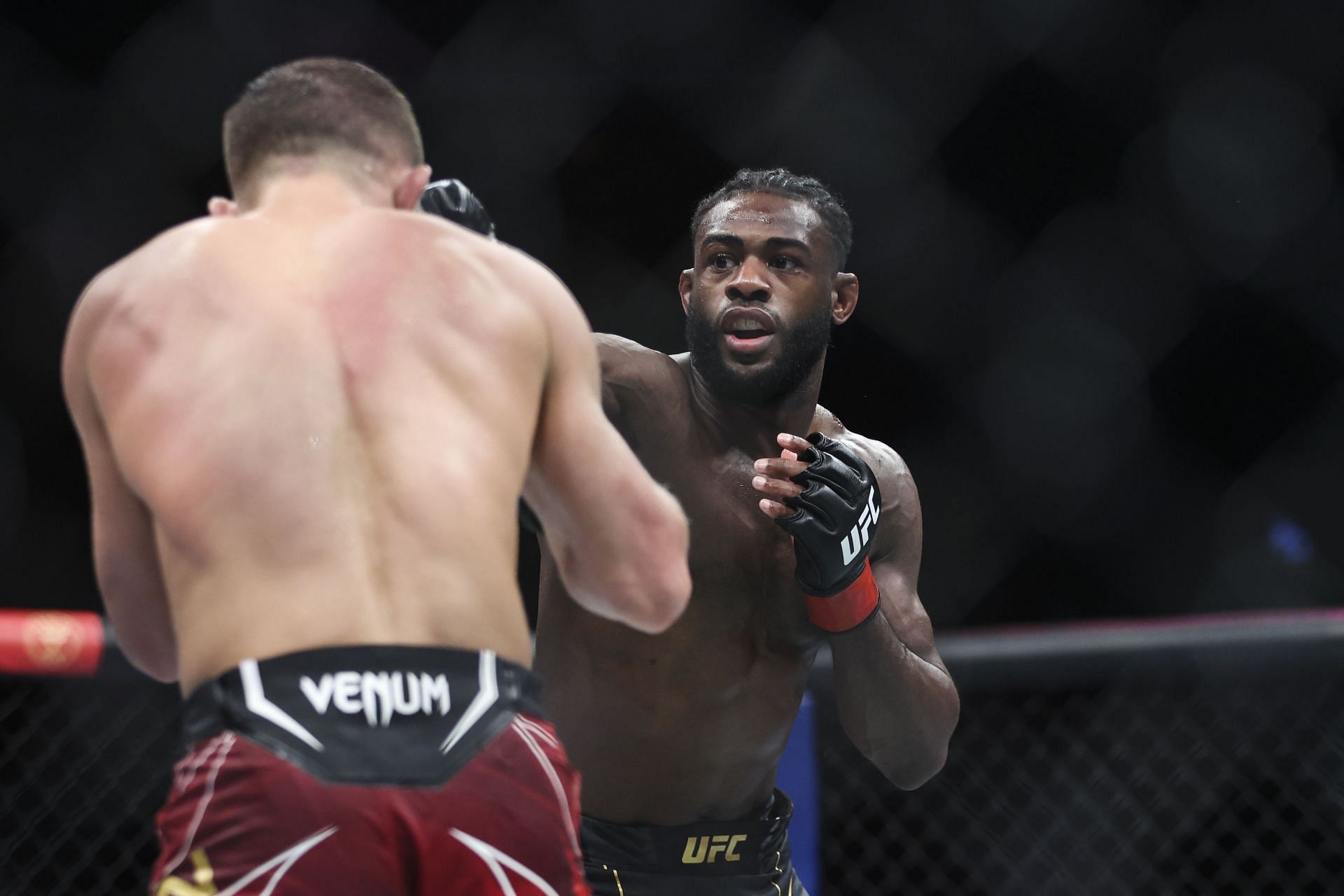 The bantamweight division, featuring Aljamain Sterling and Petr Yan, is the most exciting in the UFC right now