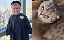 Ali Abdelaziz offers words of support to Hasbulla after influencer defends beating his cat