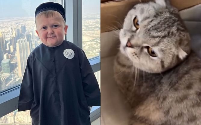 Ali Abdelaziz offers words of support to Hasbulla after influencer defends beating his cat