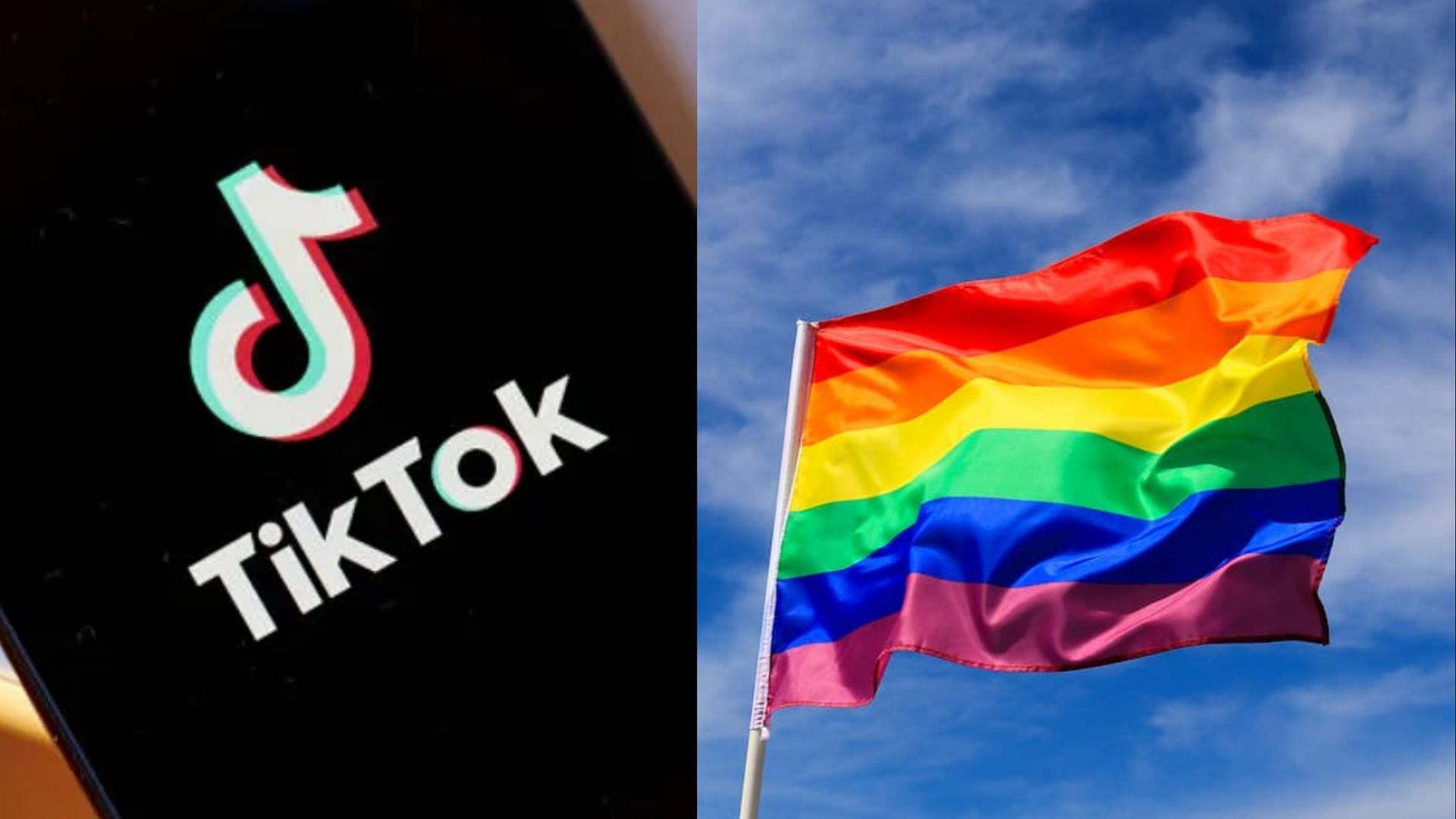 New LGBTQ label &quot;stem&quot; described as used on TikTok (Image via Getty Images, Shutterstock)