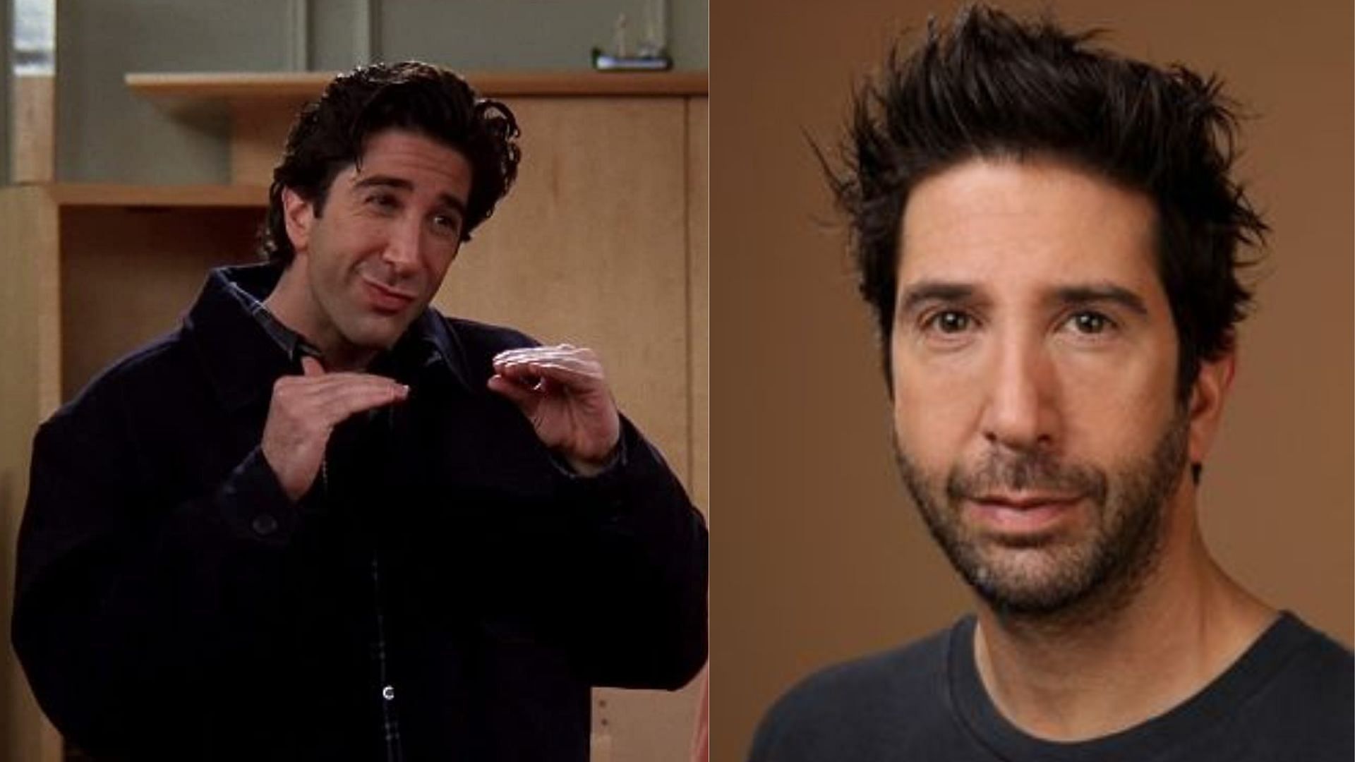 David Schwimmer, then and now (Images via IMDB and Pinterest)