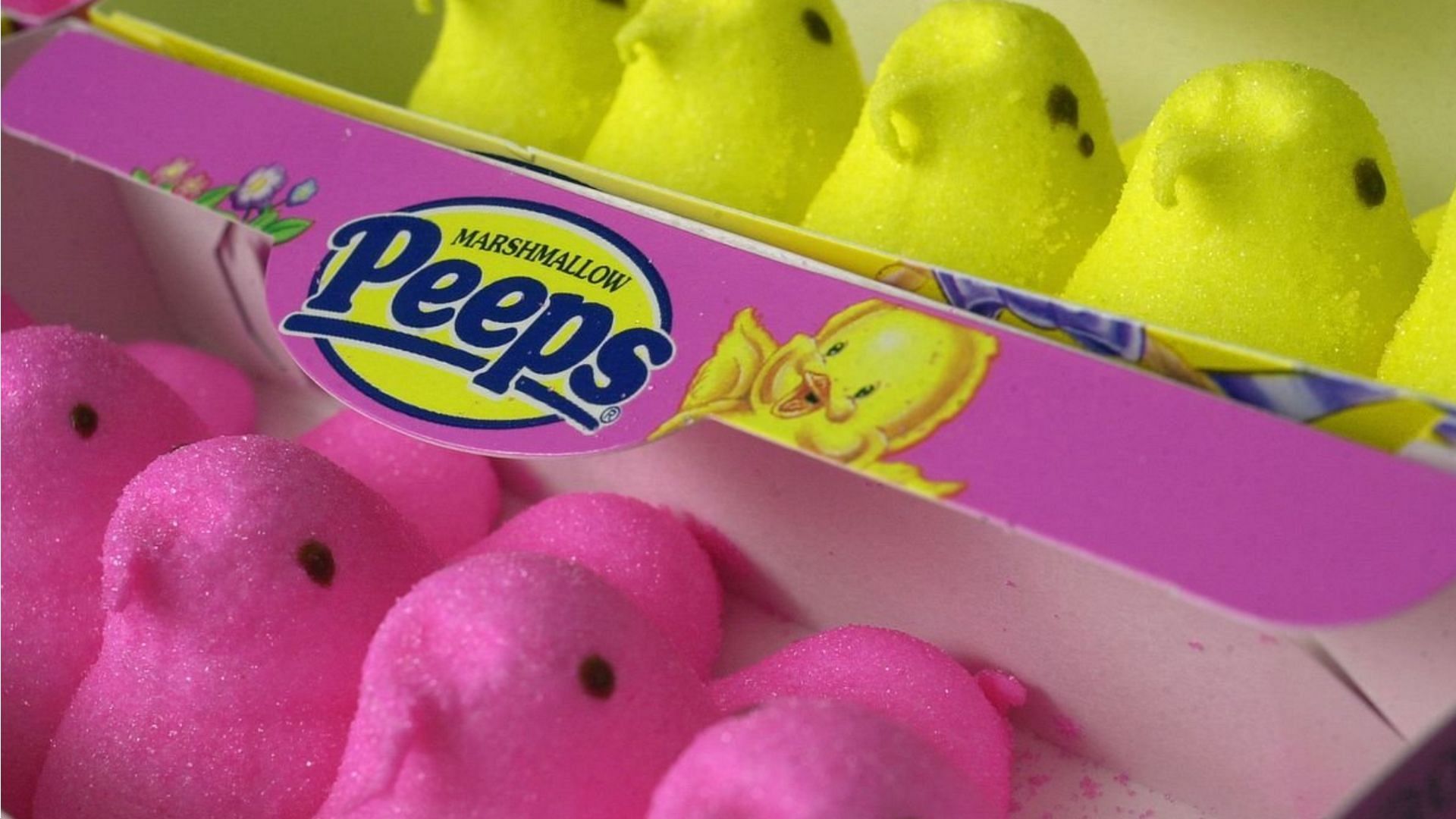 Peeps. (Photo via @urmad_ss/Twitter)