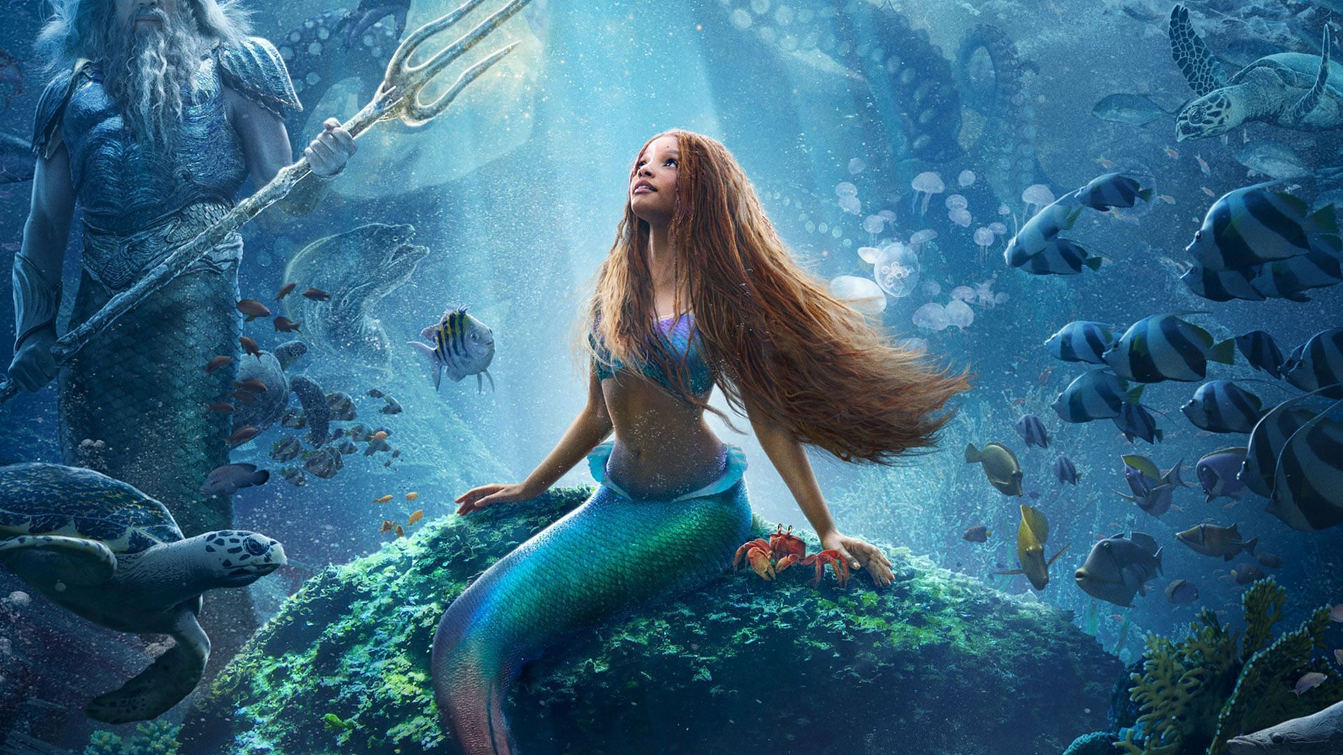 The Little Mermaid: Meet the cast