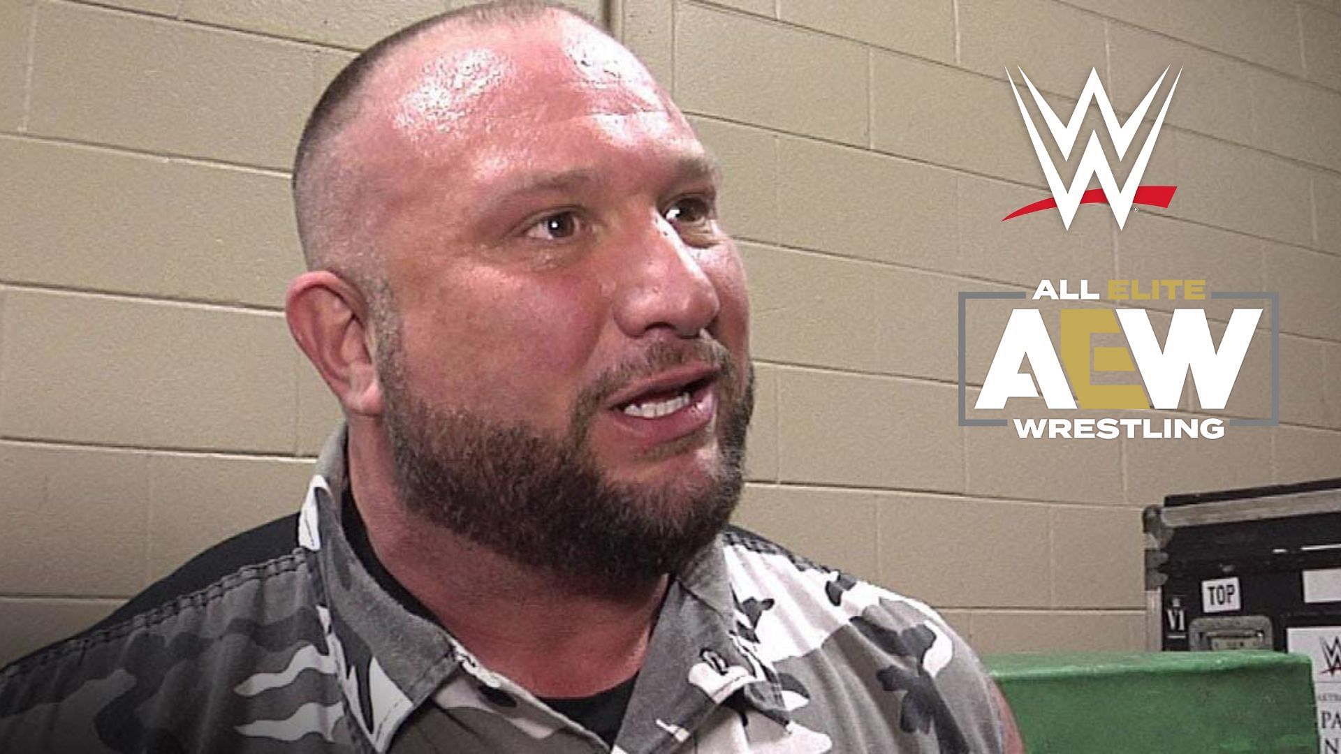 Bully Ray is a eight-time WWE World Tag Team Champion