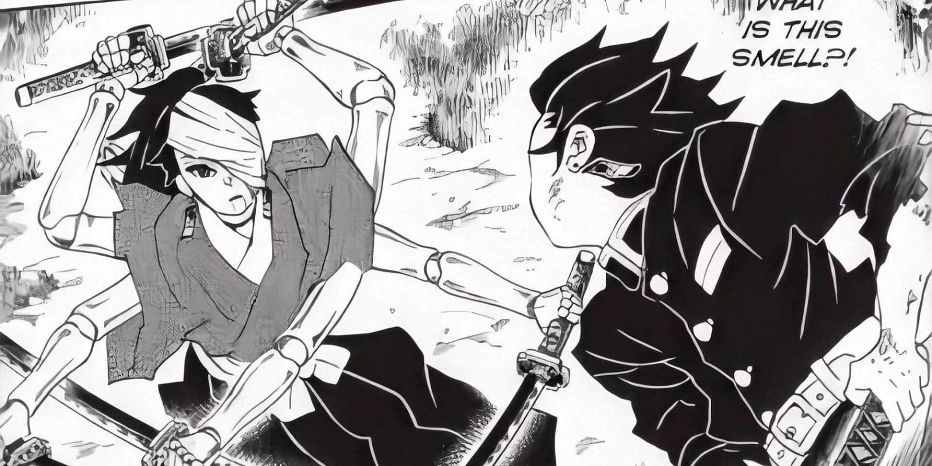 Tanjiro training with the battle doll (Image via Shueisha)