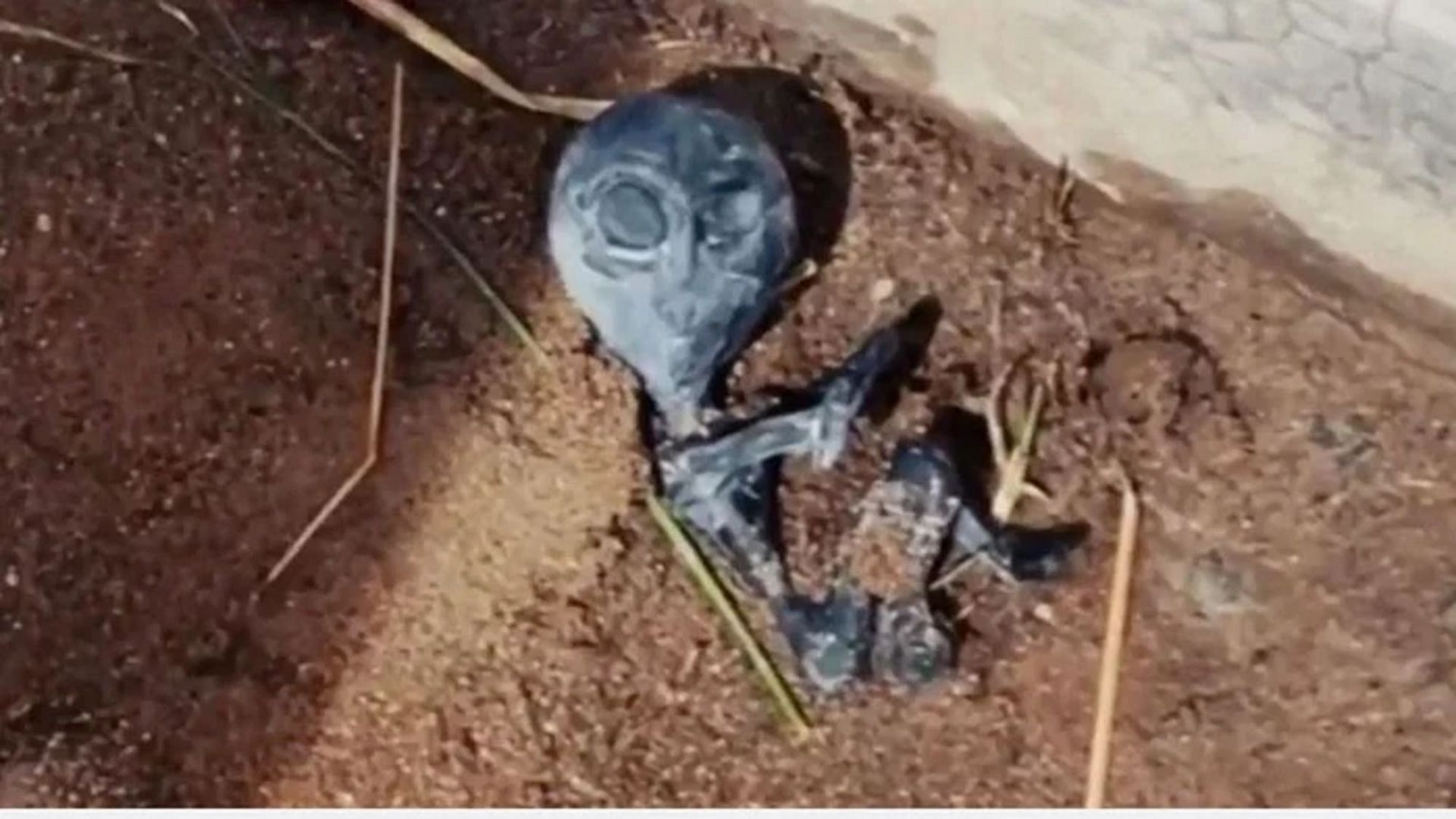 Supposed dead body of alien found in Bolivia (Image via Al Rojo Vivo/YouTube)