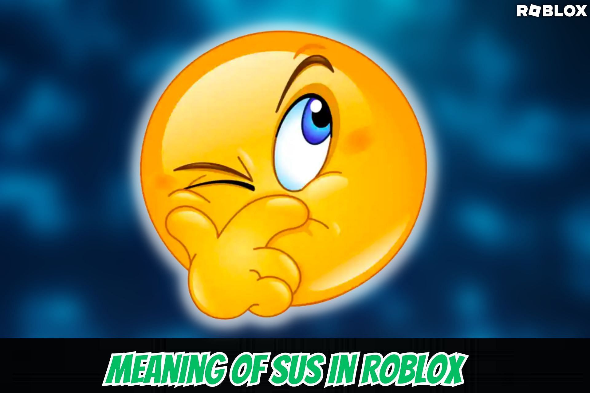 meaning of SUS in Roblox