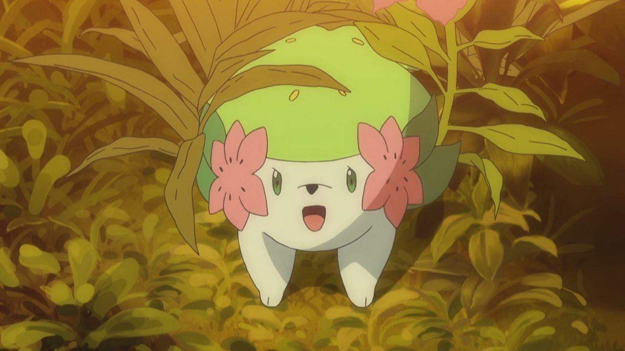 Shaymin, Pokémon GO Wiki