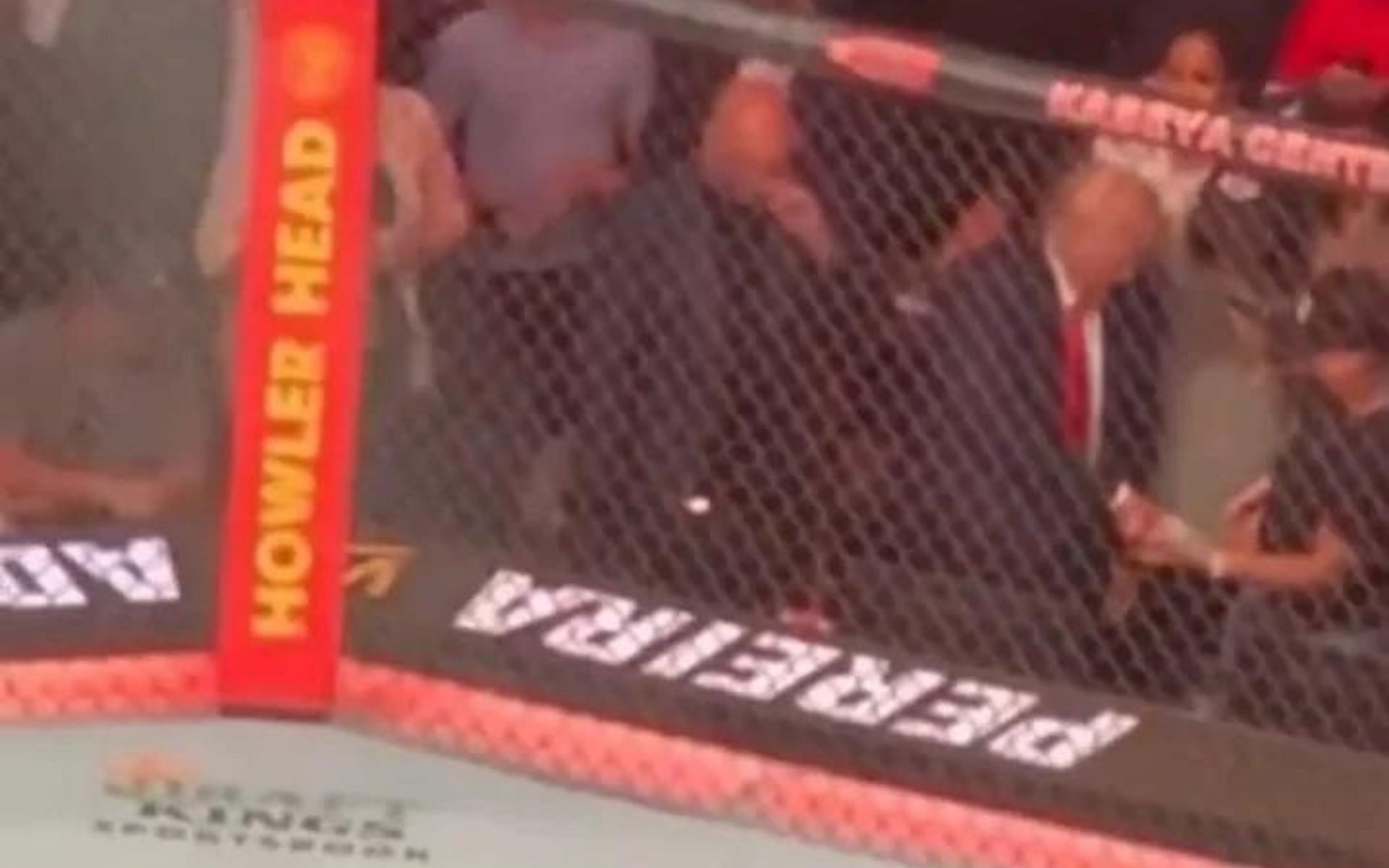 Donald Trump and Kid Rock cageside at UFC 287