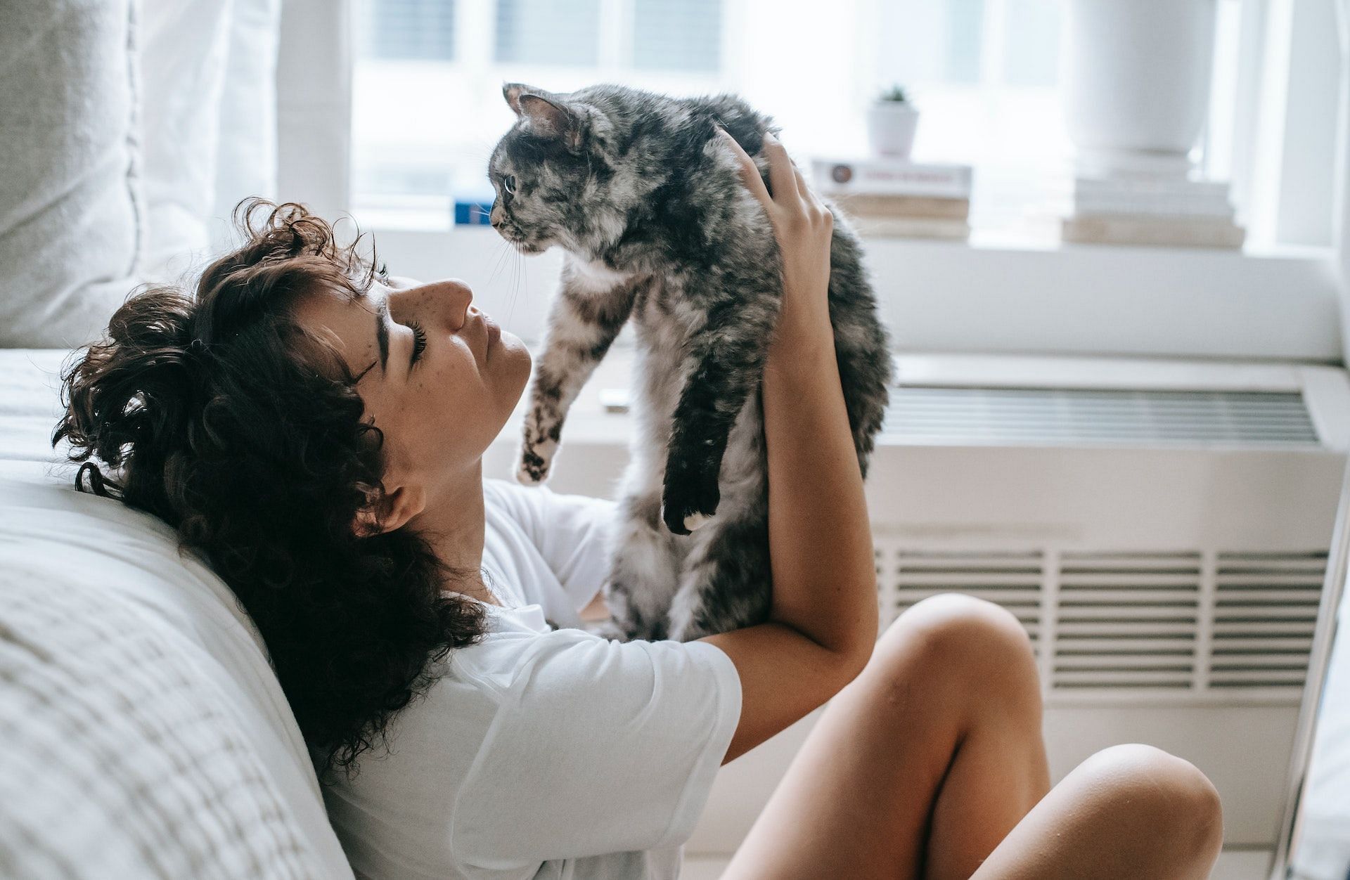 Do not let your cat lick you around your mouth, nose, or eyes. (Photo via Pexels/Sam Lion)