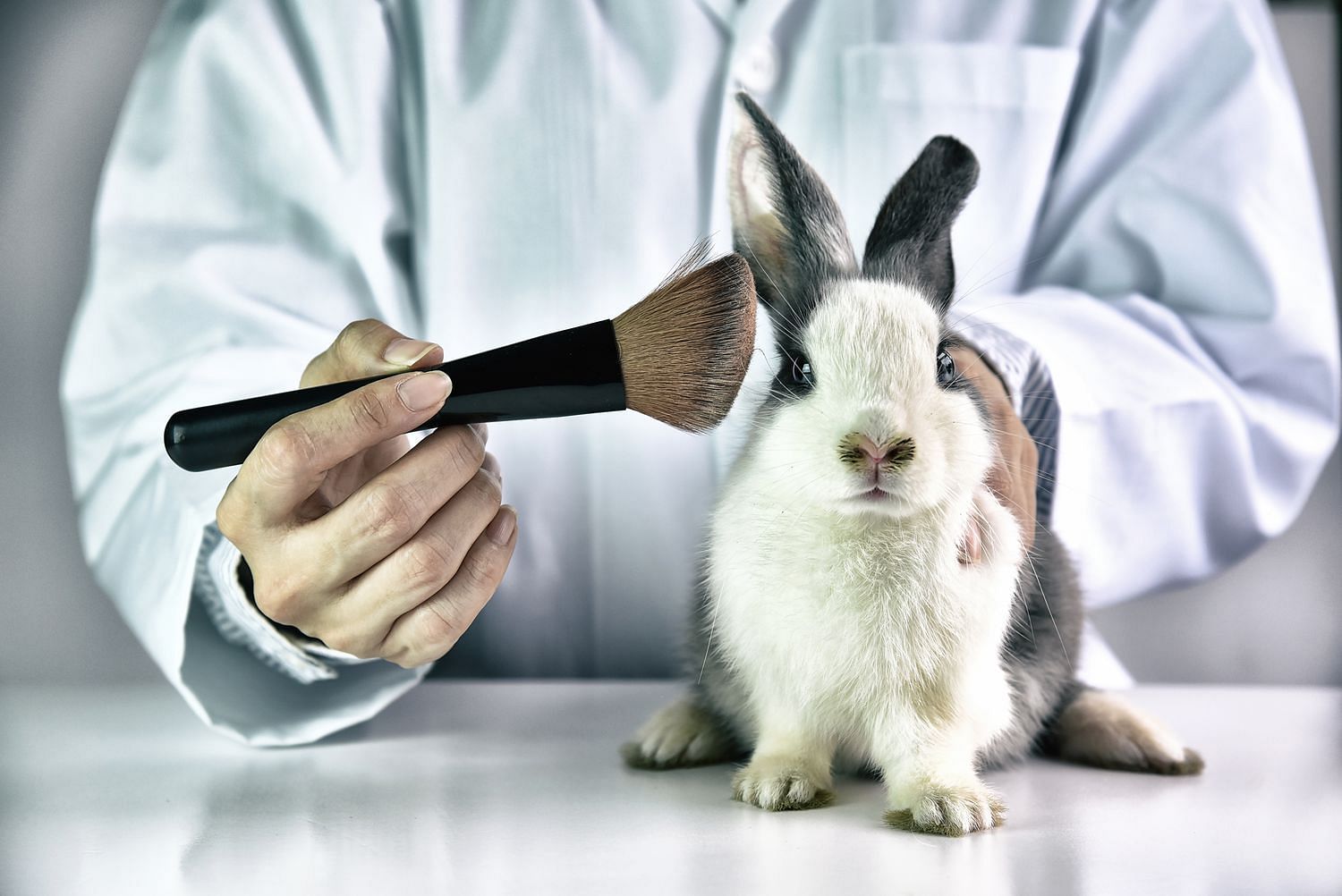 Cruelty-free alternatives are cheaper, faster, and more accurate than animal testing (Image source/ Tree Hugger)