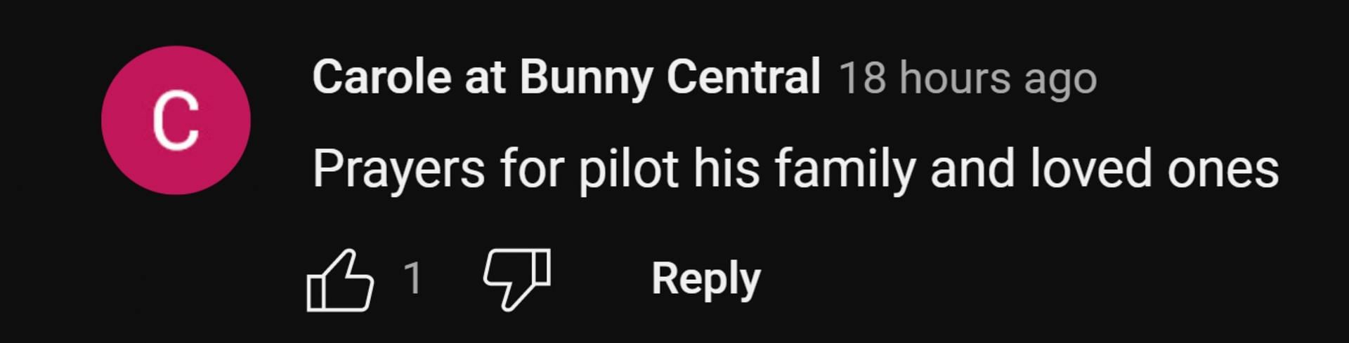 The Internet offered the pilot and his family their condolences (Image via Youtube)