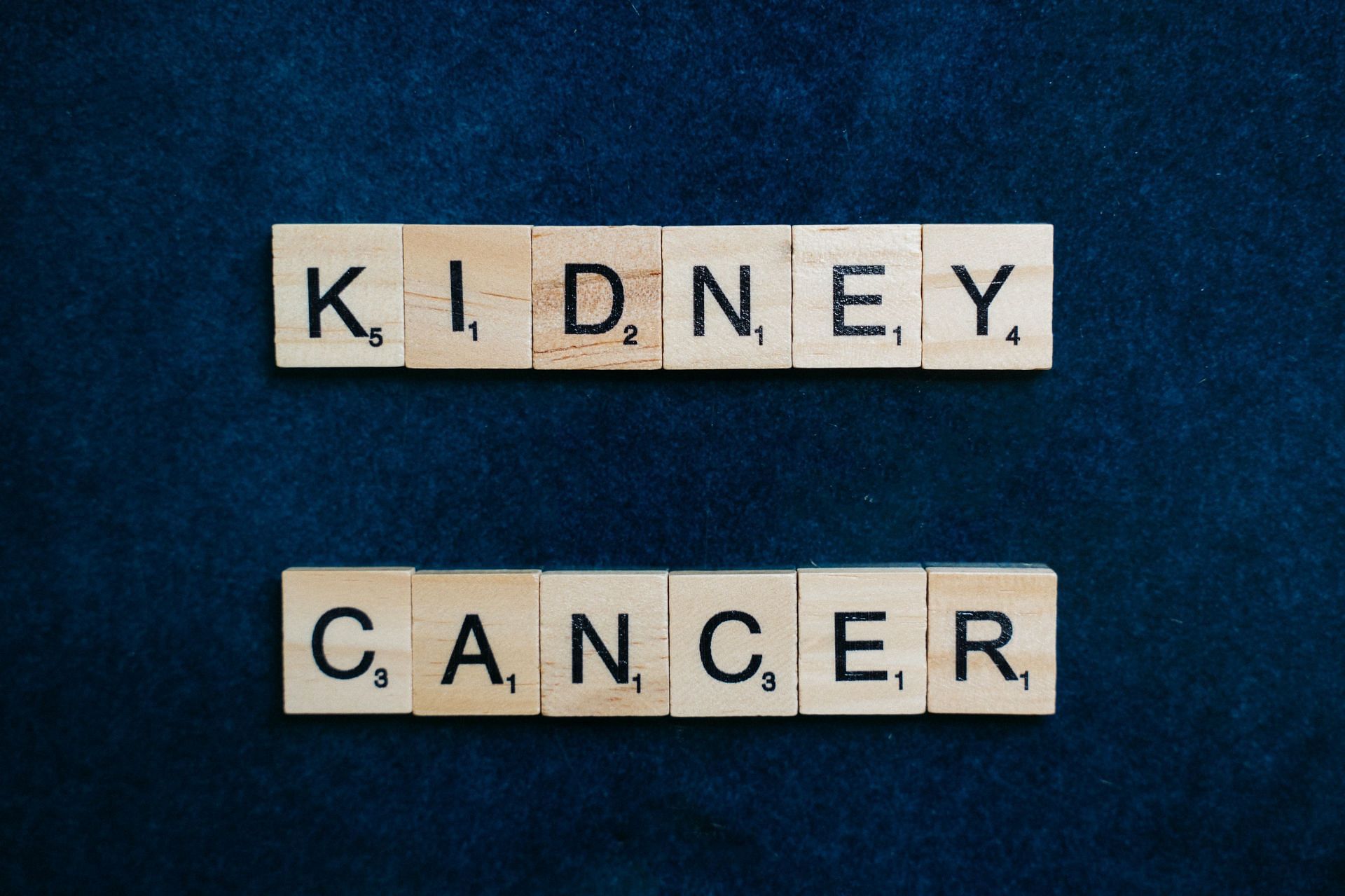 various factors determine the spread of kidney cancer (image via pexels / anna tarazevich)