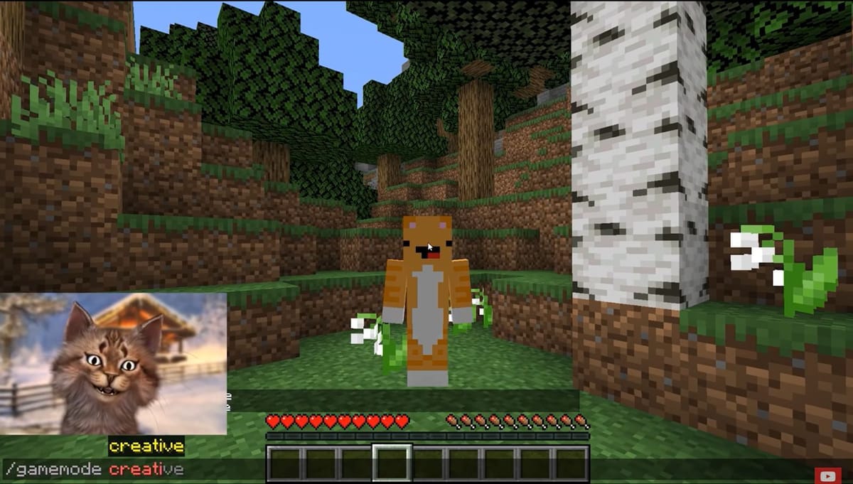 Gravycatman's Profile, Net Worth, Age, Height, Relationships, FAQs