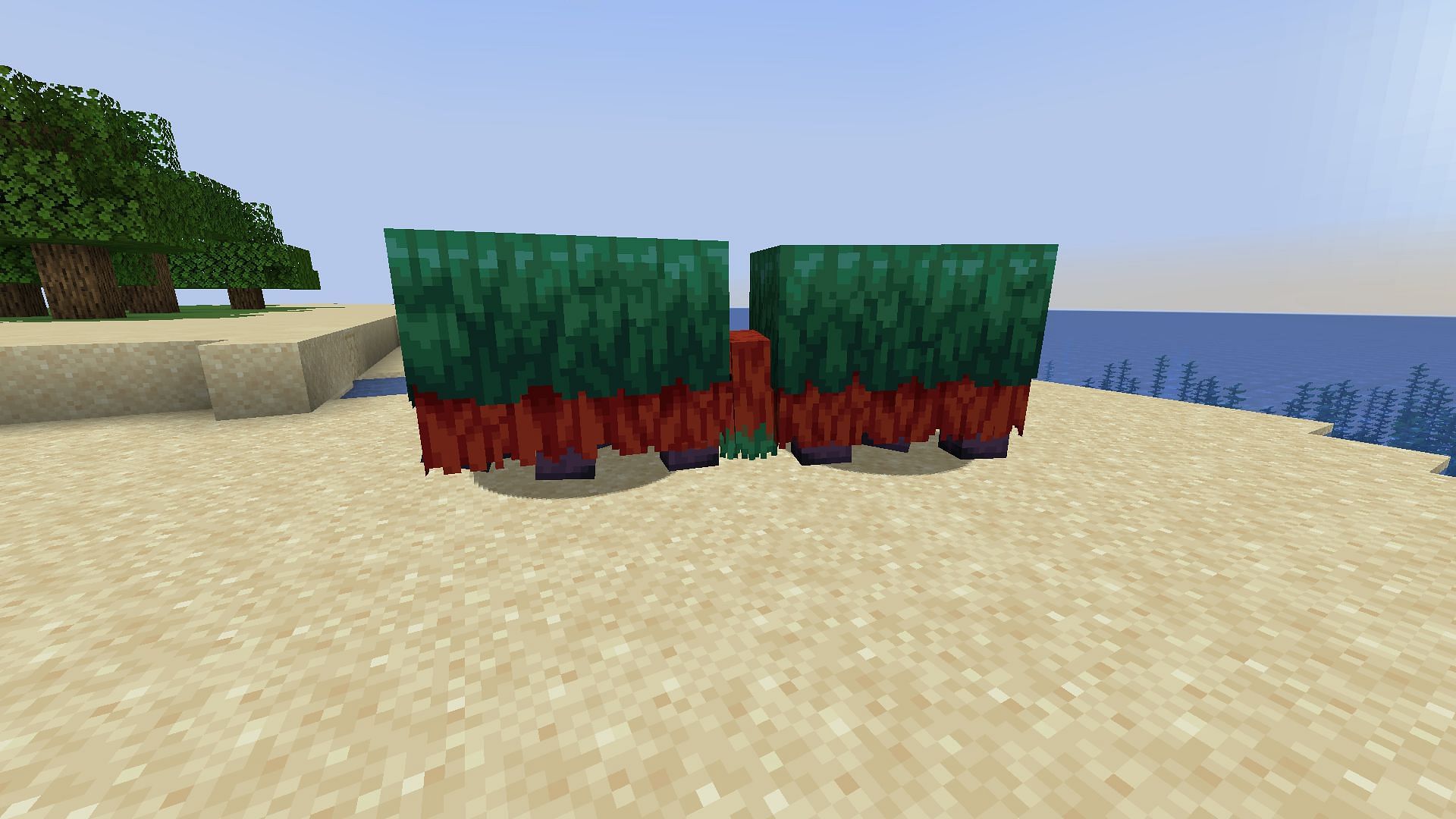 Sniffers breed after eating torchflower or pitcher pod seeds in Minecraft 1.20 Trails and Tales update (Image via Mojang)