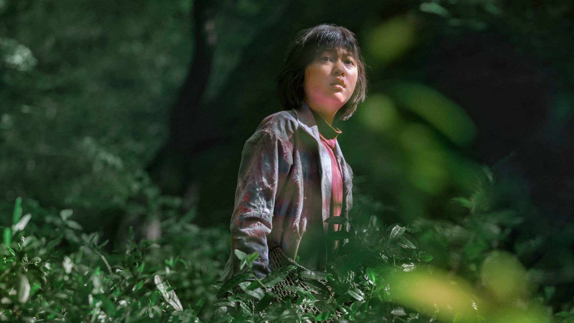 Okja (Images via IMDB)