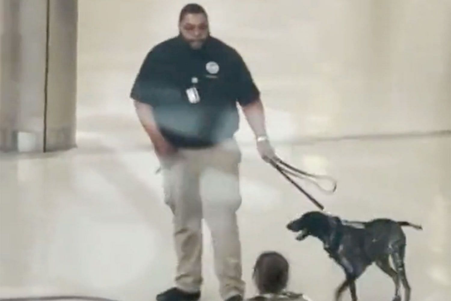Social media users infuriated after a video of TSA handler aggressively pulling the dog emerges on social media. (Image via @Imposter_Edits/Twitter)