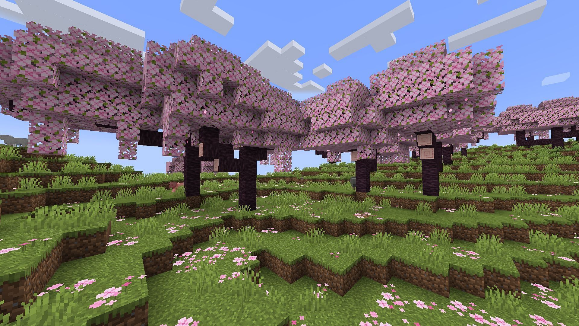 Cherry Grove is the cutest upcoming biome in the Minecraft 1.20 update (Image via Mojang)