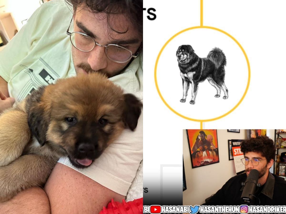 HasanAbi reveals his dog