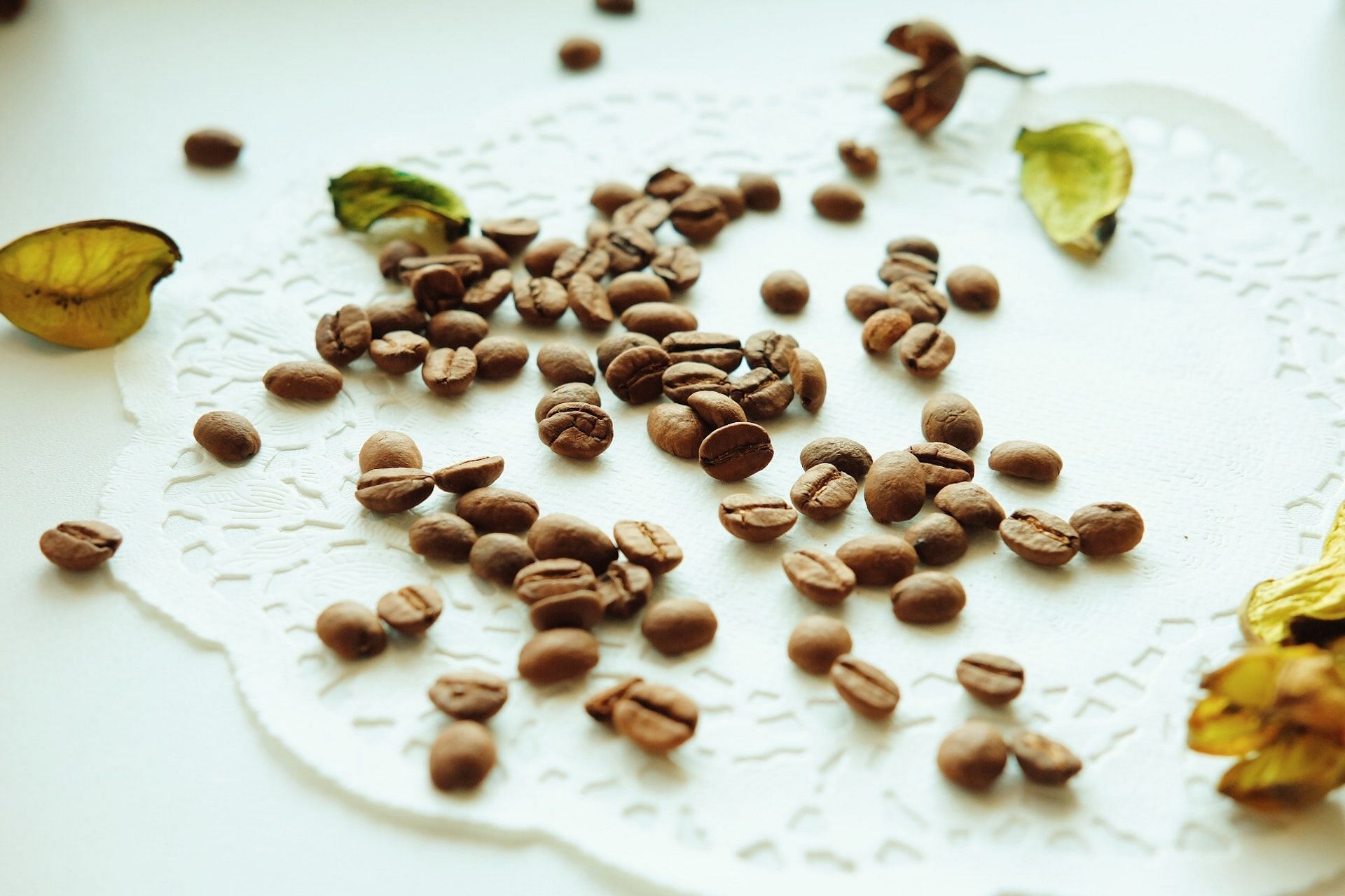 Cocoa is a good source of flavonoids. (Photo via Pexels/Елена Черных)