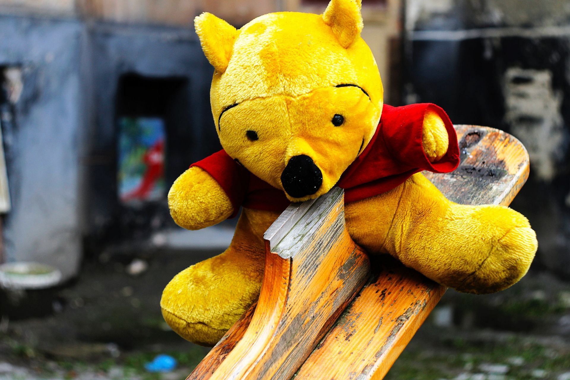 While Pooh is a well-known character, the winnie the pooh mental illness is not a common theory. (Image via Pexels/ Inna)