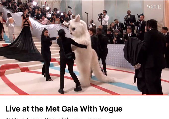 SUGA made it”: ARMYs joke that the Haegeum singer debuted at the Met Gala  in a cat outfit