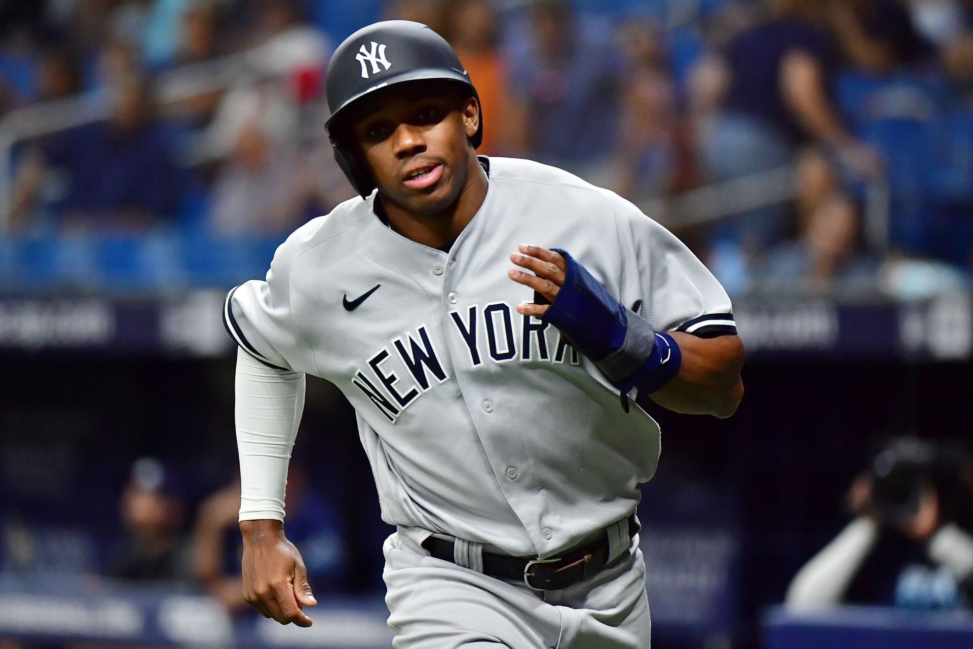Organisation: New York Yankees