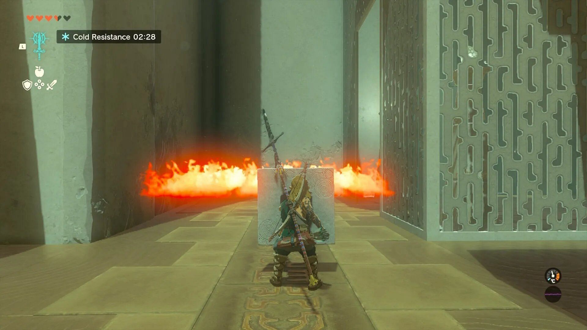 Use the shield to block the flames and head to the next area (Image via Nintendo)