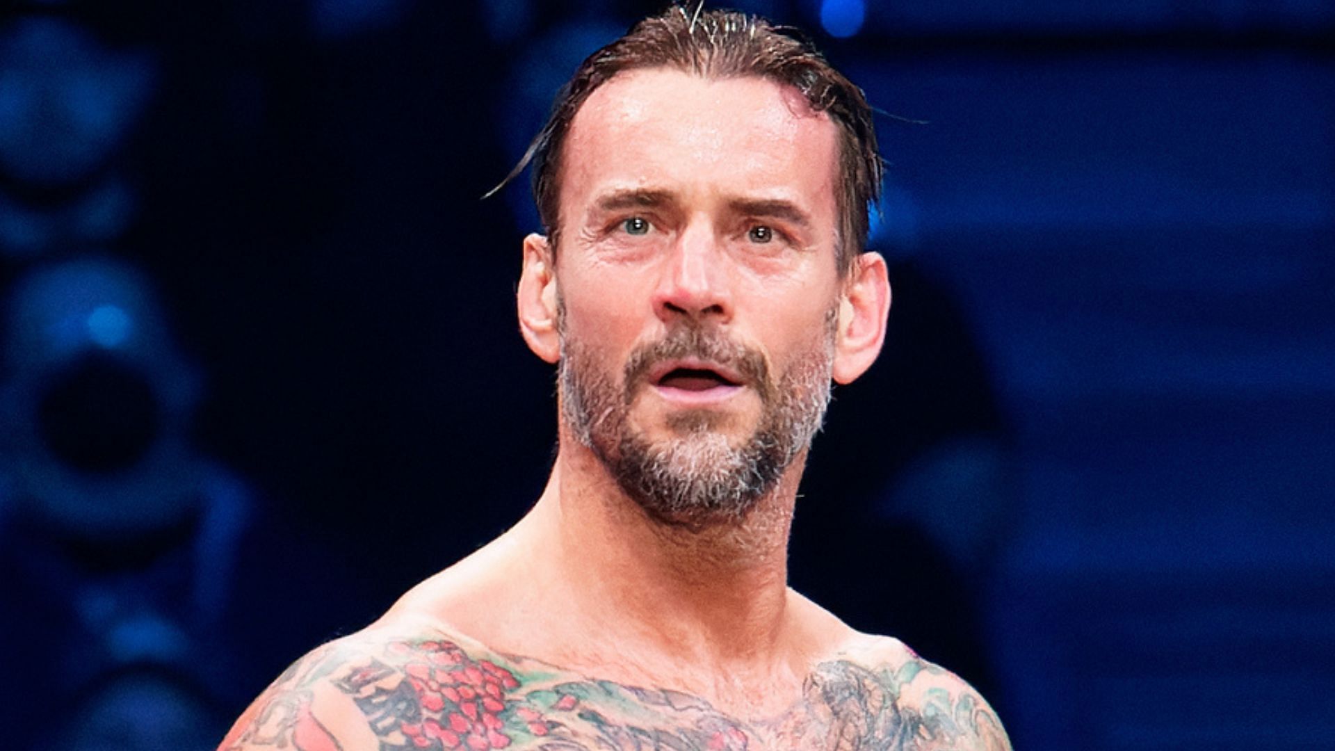 What will CM Punk