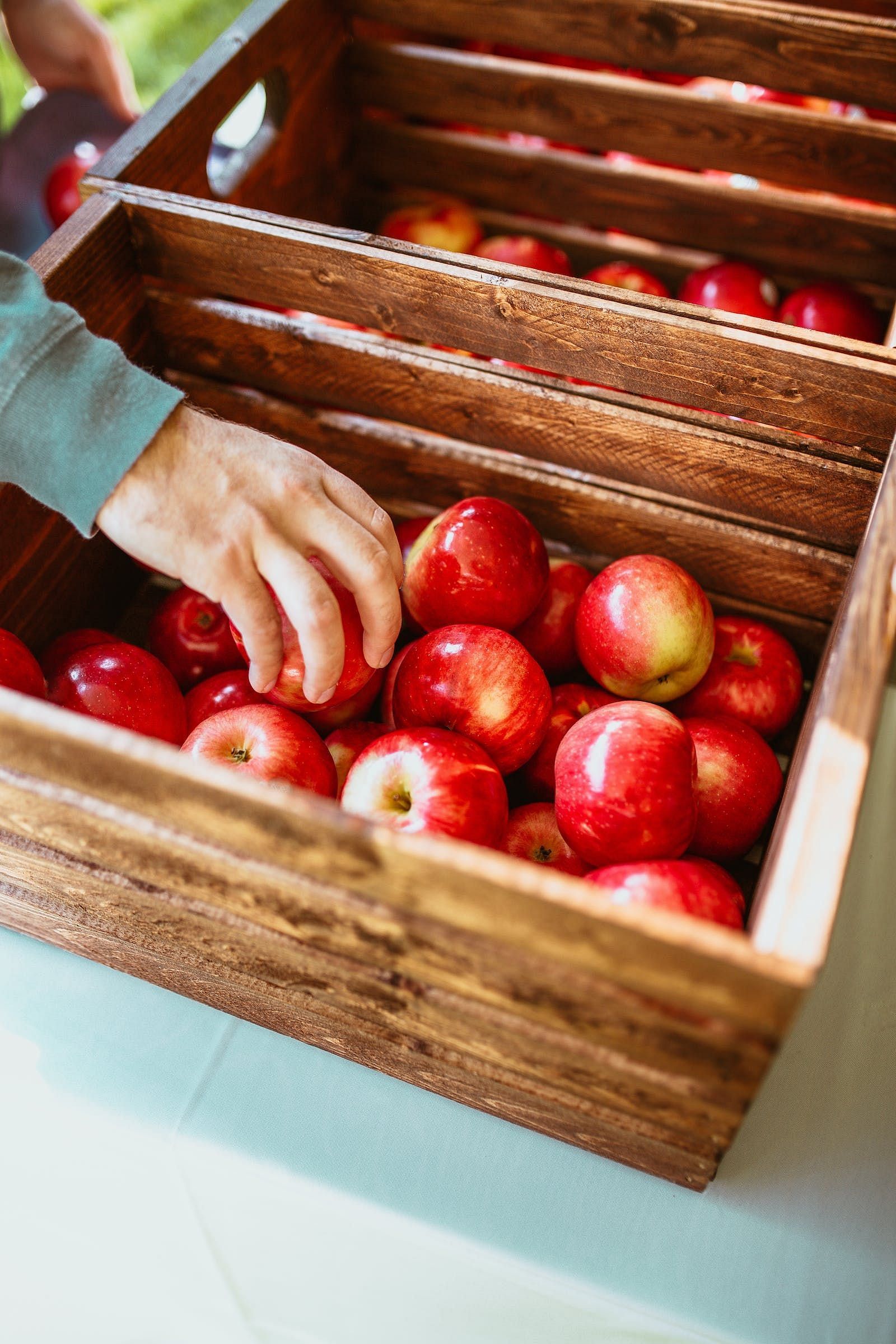 fresh and healthy apple (Image source/ pexels)