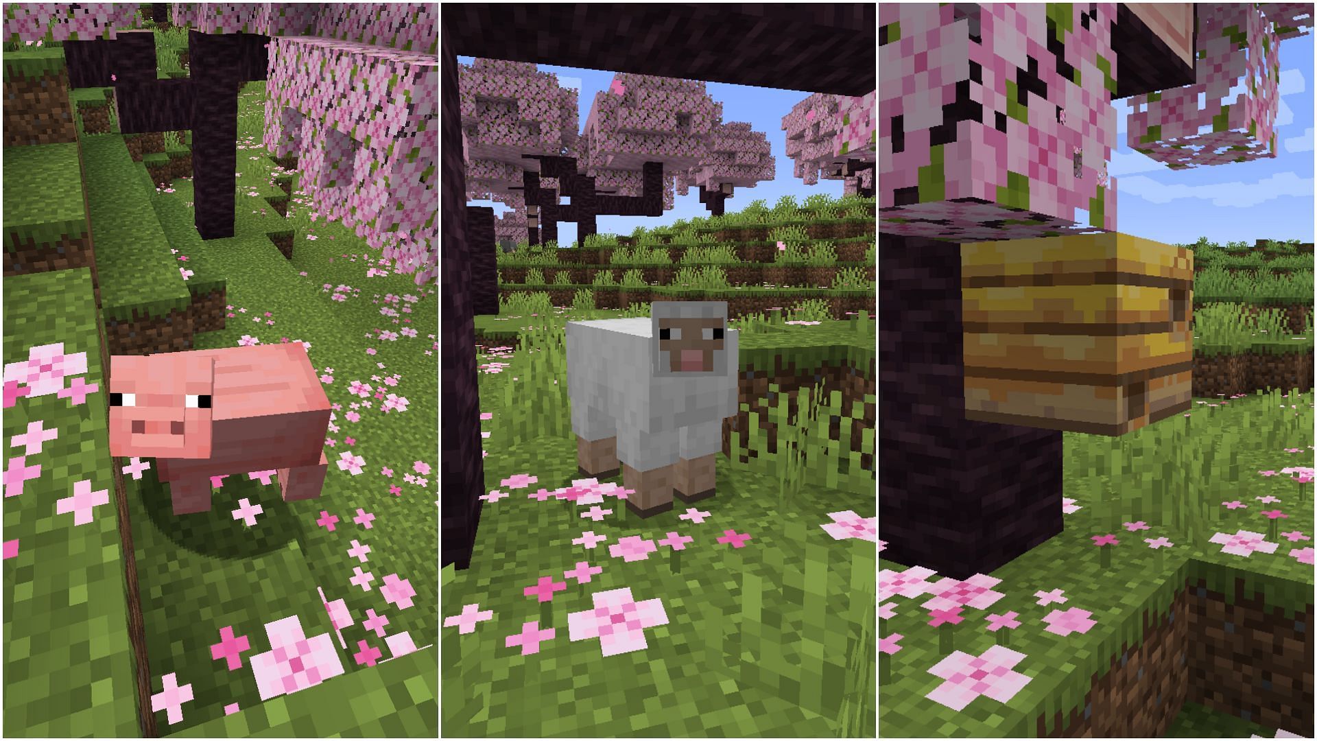 Apart from overworld hostile mobs, pigs, sheep, bees, and rabbits spawn in the Cherry Grove biome in the Minecraft 1.20 update (Image via Sportskeeda)