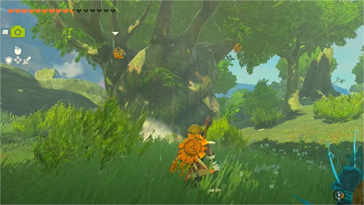 How to get Courser Honey in The Legend of Zelda Tears of The Kingdom