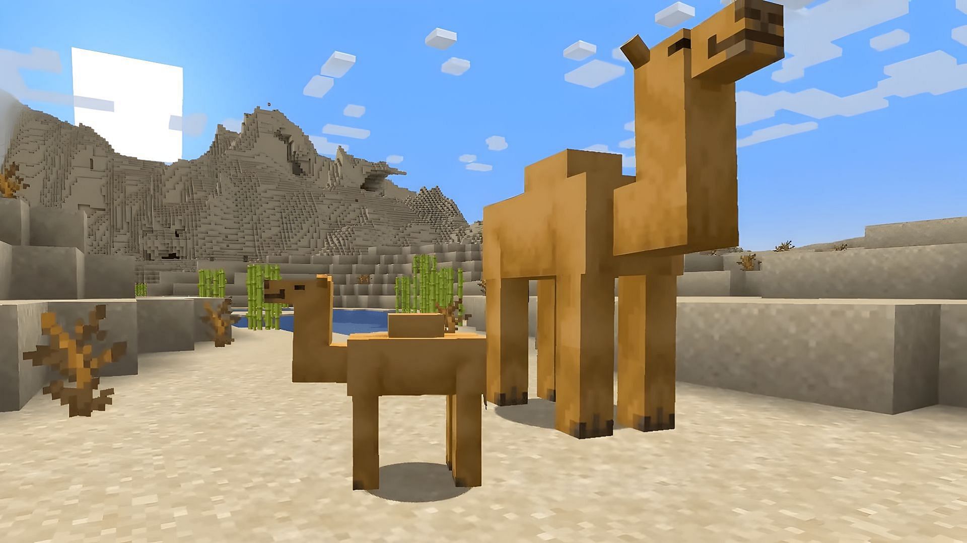 An adult camel and a baby camel as seen in Minecraft 1.20 (Image via Mojang)