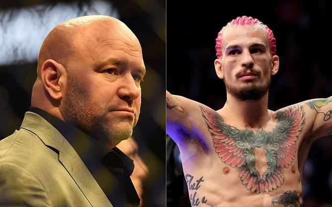Dana White readily pays $100 to a reporter for guessing a phone call he received about Sean O'Malley