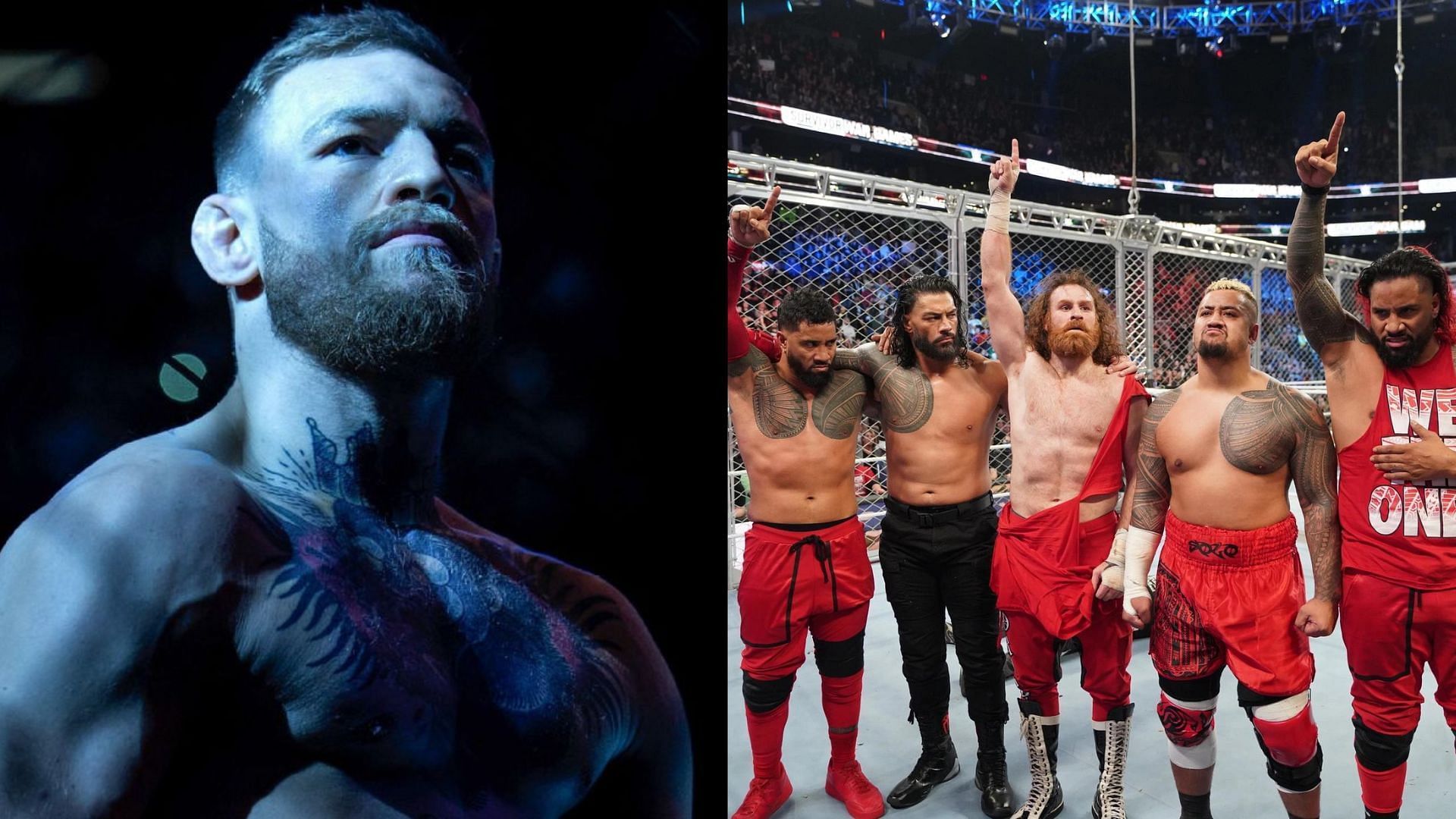 Conor McGregor has called out a Bloodline member on social media
