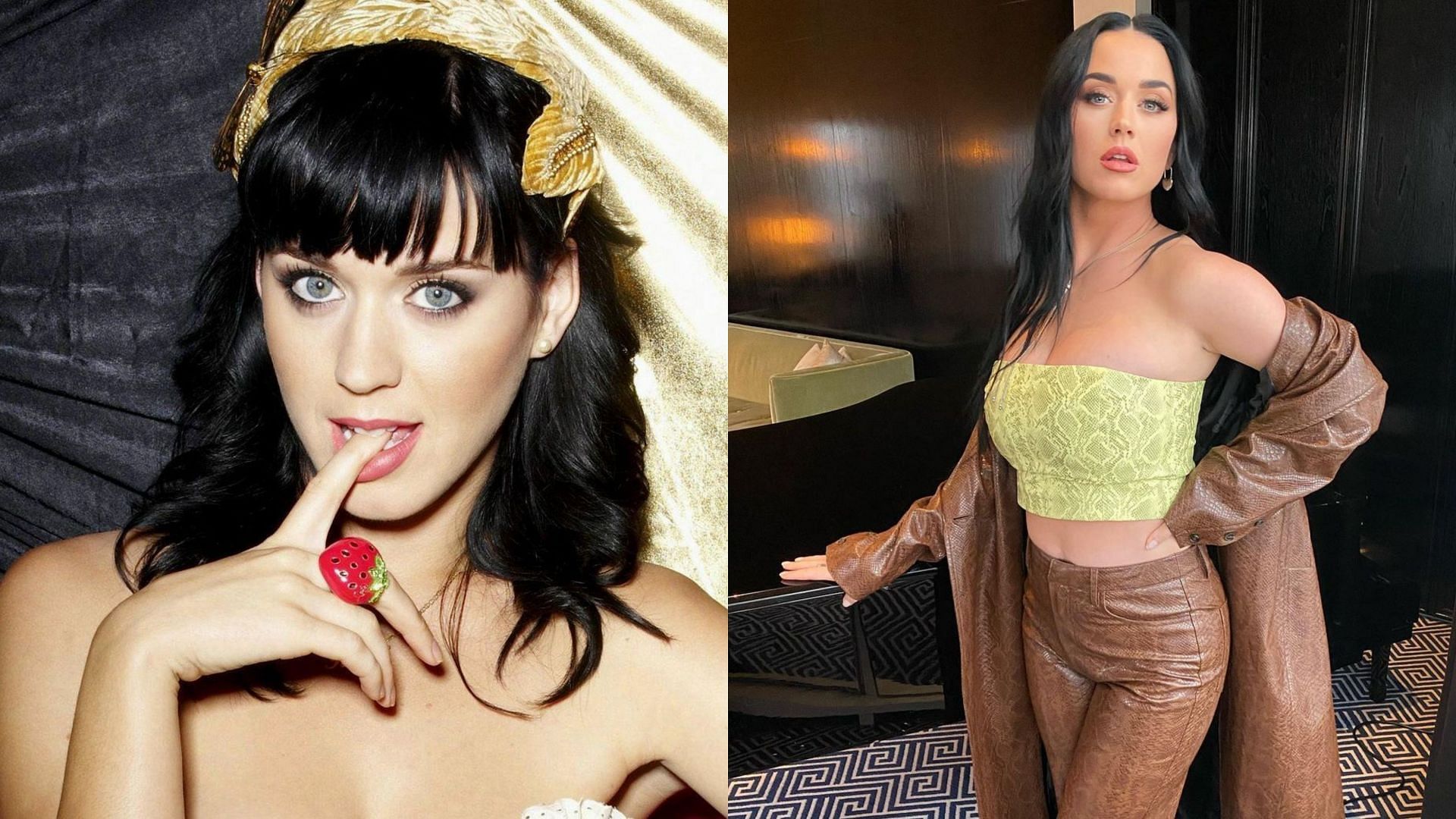 Katy Perry previously crossed paths with WWE CCO Triple H and Stephanie McMahon