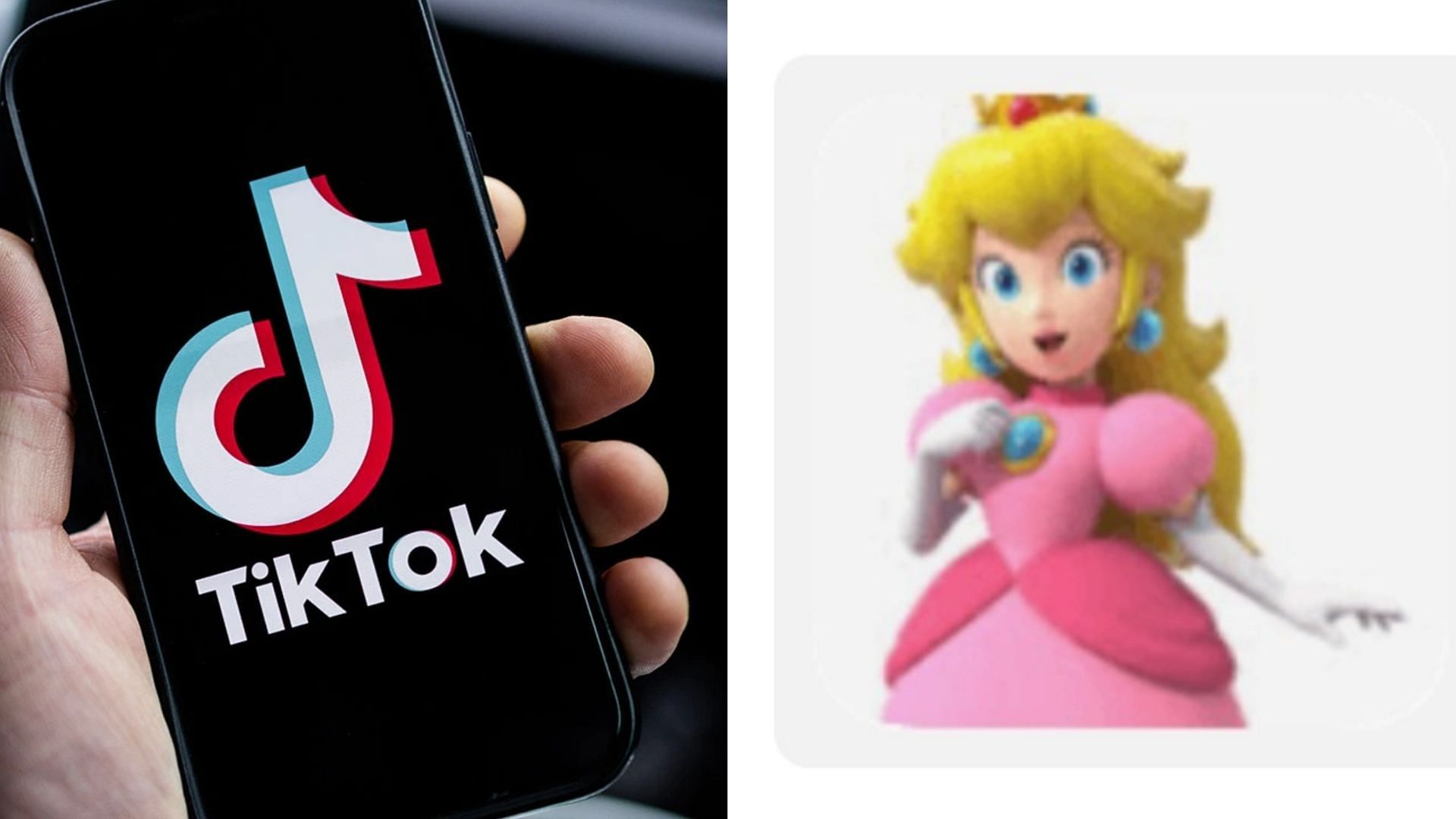 princess peach vs mario｜TikTok Search