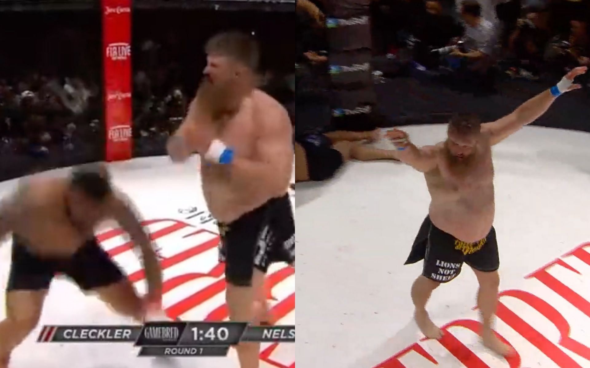 Roy Nelson vs. Dillon Cleckler [Image credits: @Jorge Masvidal on YouTube]