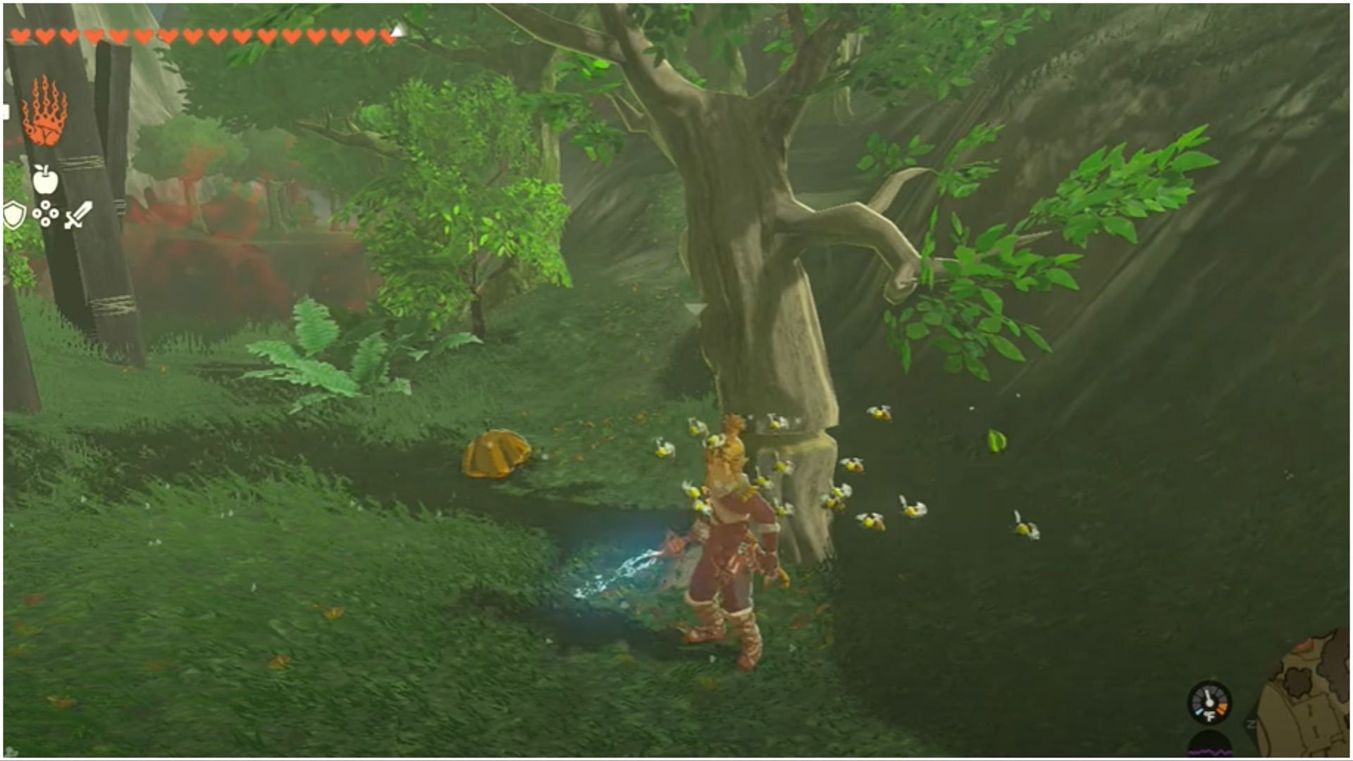 Maintain a safe distance from the trees (Image via The Legend of Zelda Tears of the Kingdom)