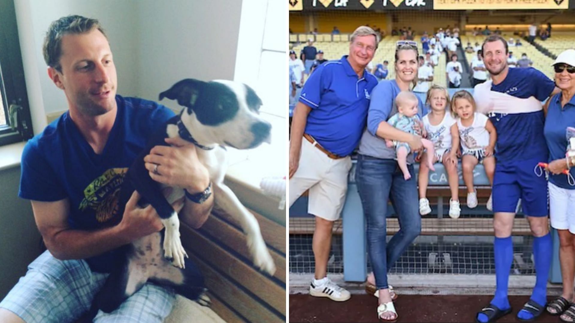 New York Mets' Max Scherzer To Sponsor Dog Adoption Fees At Animal